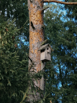 brown wooden birdhouse on brown tree