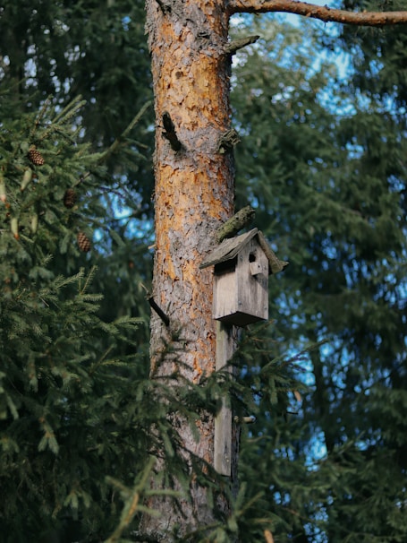 brown wooden birdhouse on brown tree