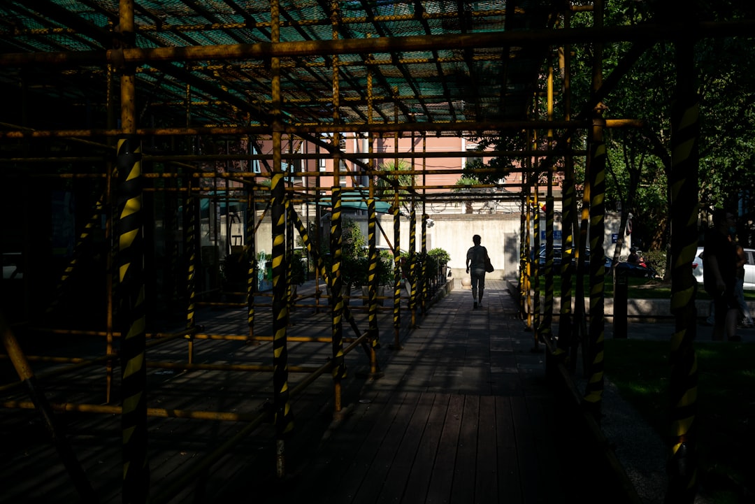 silhouette of people walking on wooden dock during daytime