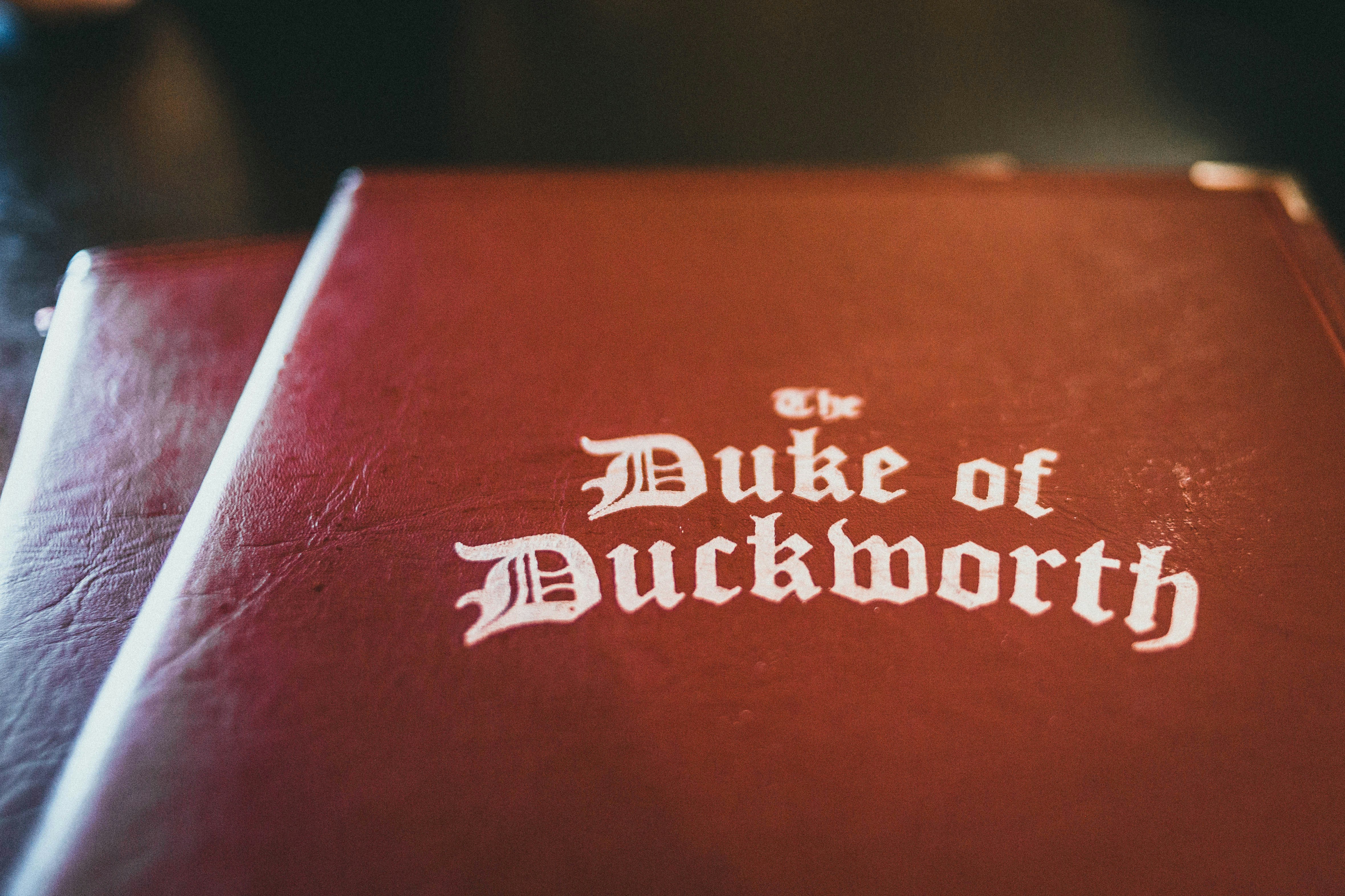 Your Essential Dutch Legal Guide: Navigating Law in the Netherlands