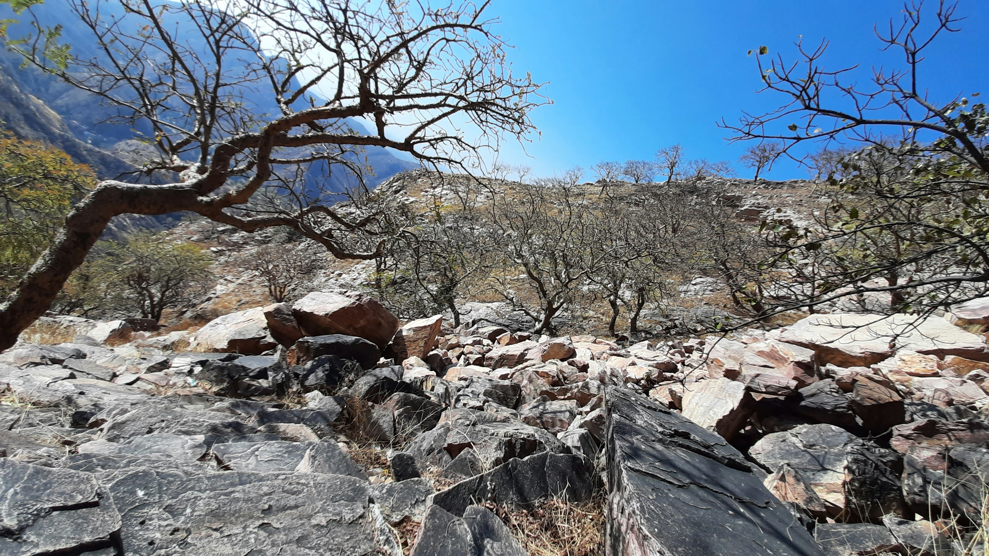 Photo by newnaveendhawan