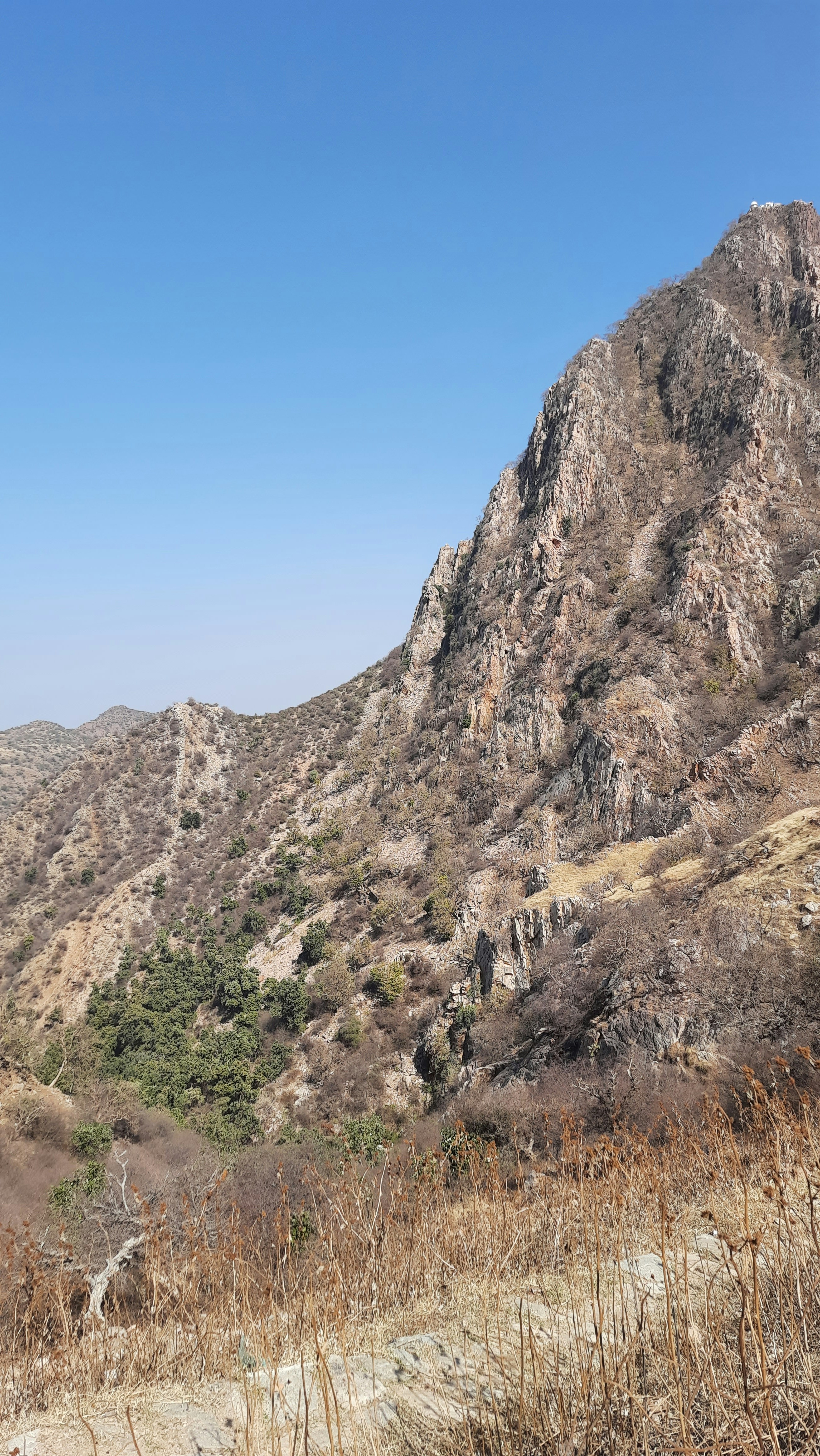 Photo by newnaveendhawan