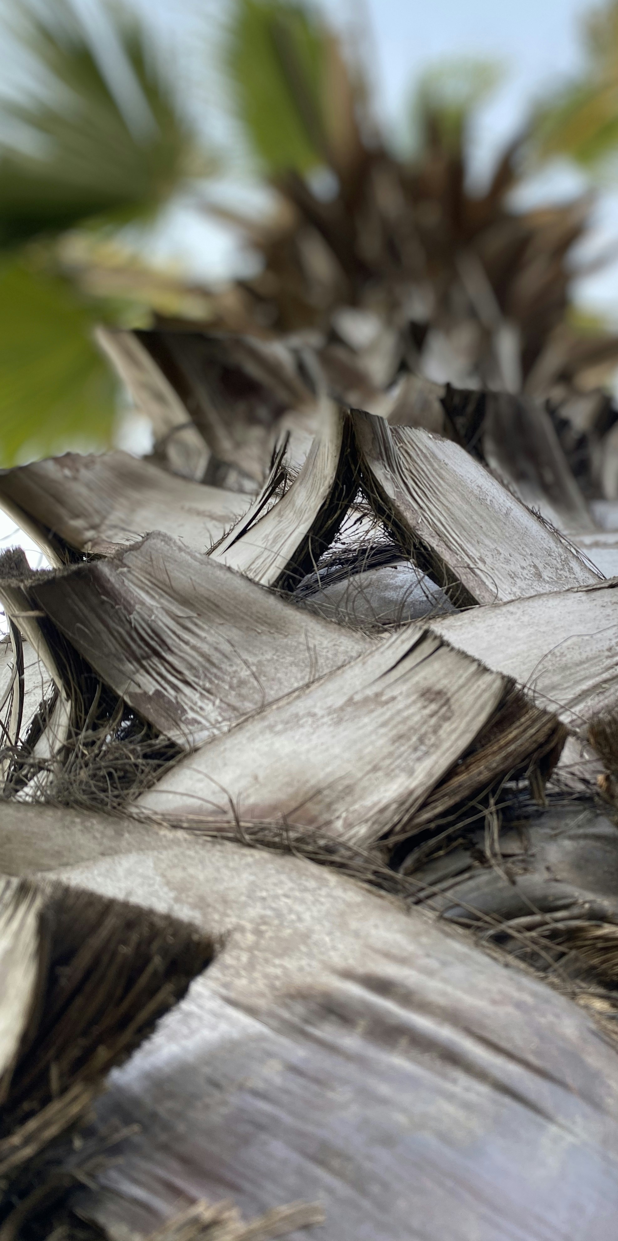 Photo by every_frame_matters