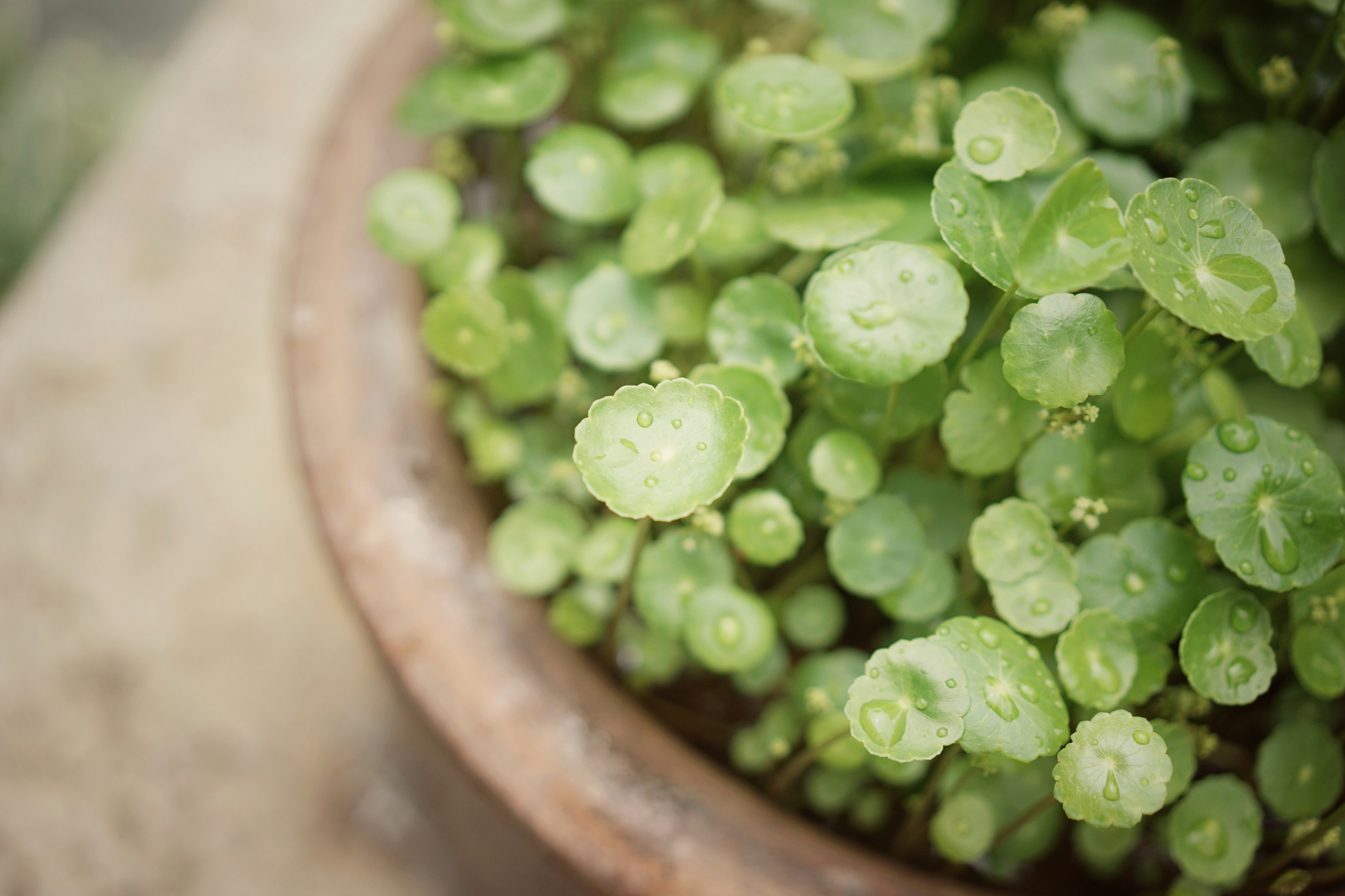 Photo by fredericksail