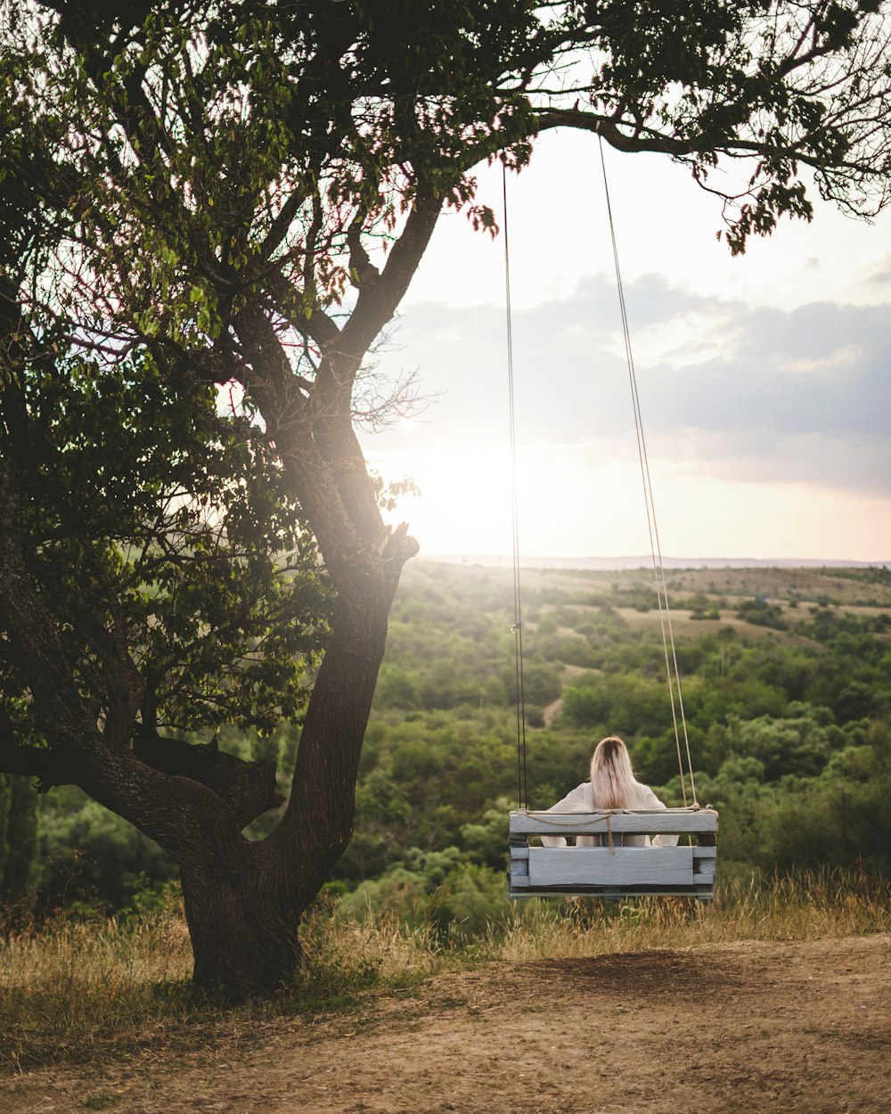 person sitting on swing under green tree during daytime