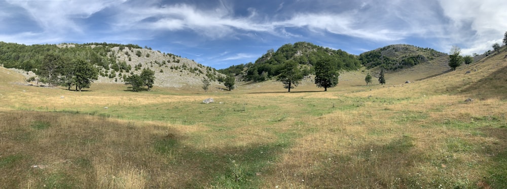 green trees on green grass field under blue sky during daytime