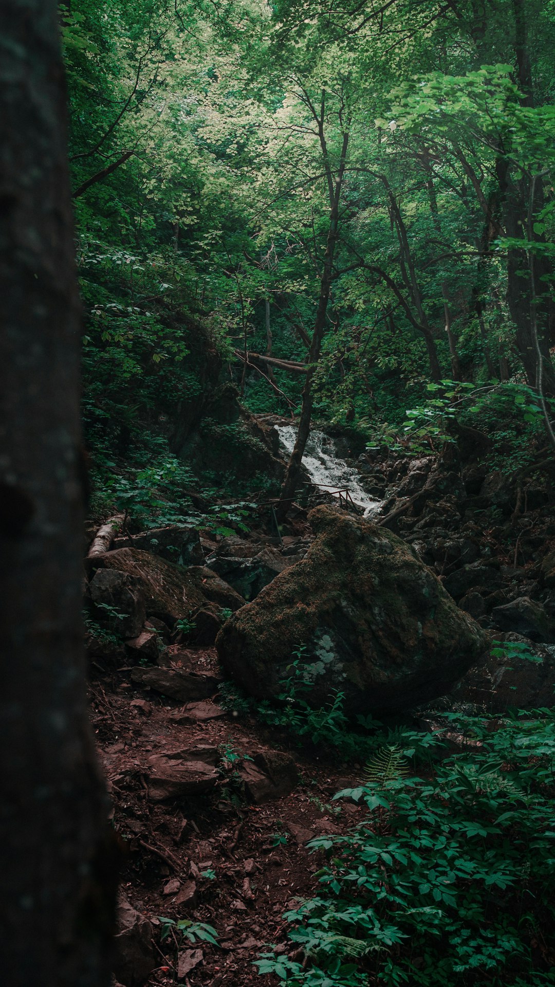 Ecoregion photo spot Boyana Bulgaria