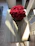 Close-up of a vibrant forever rose arrangement in a rustic vase on a wooden table.