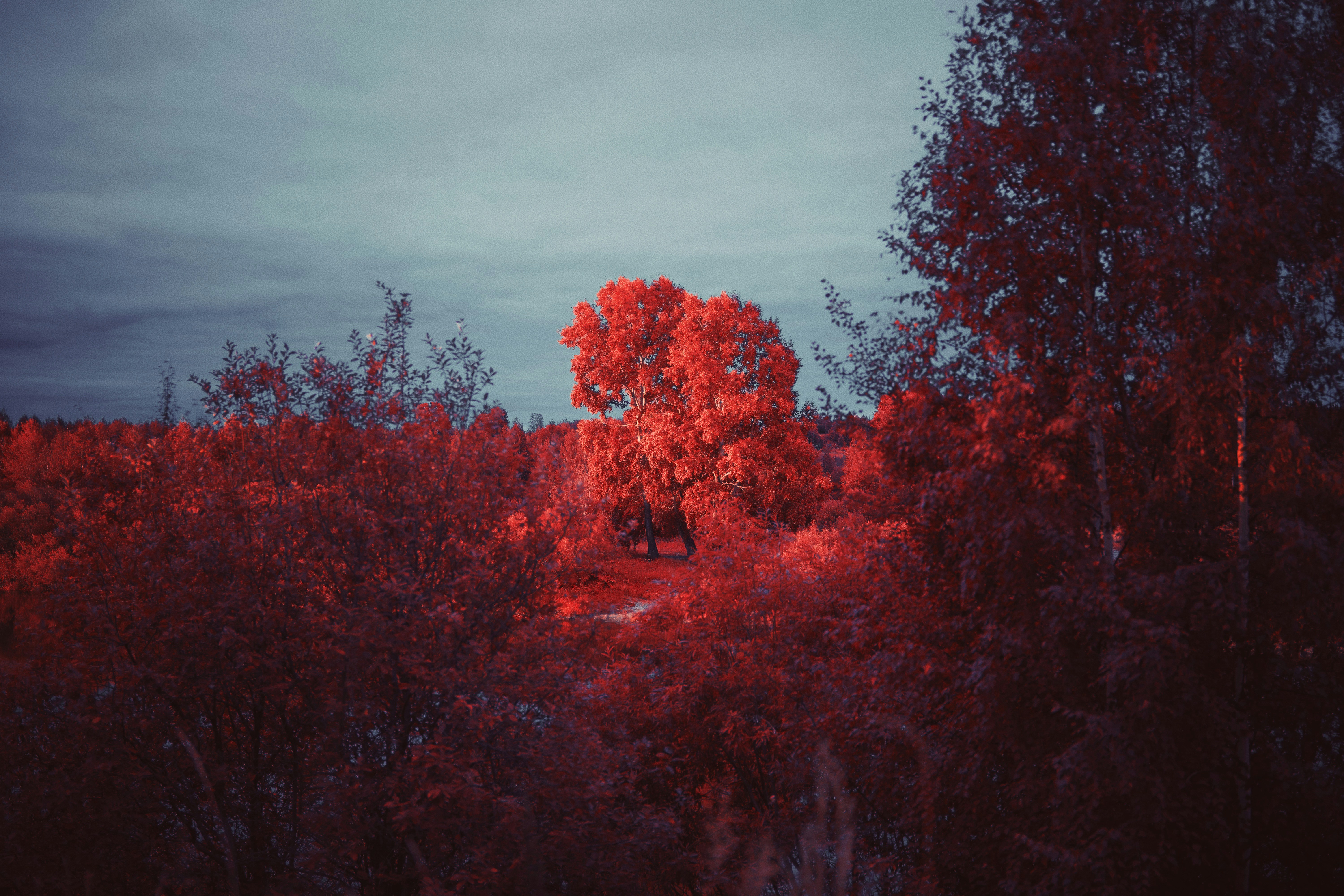 Photo by shklyaevmax