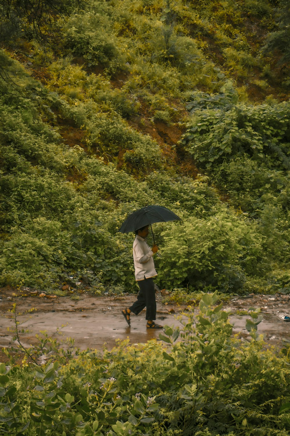 woman in white shirt and black pants holding umbrella walking on pathway