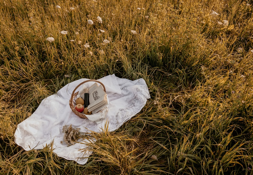 person in white shirt lying on brown grass field during daytime
