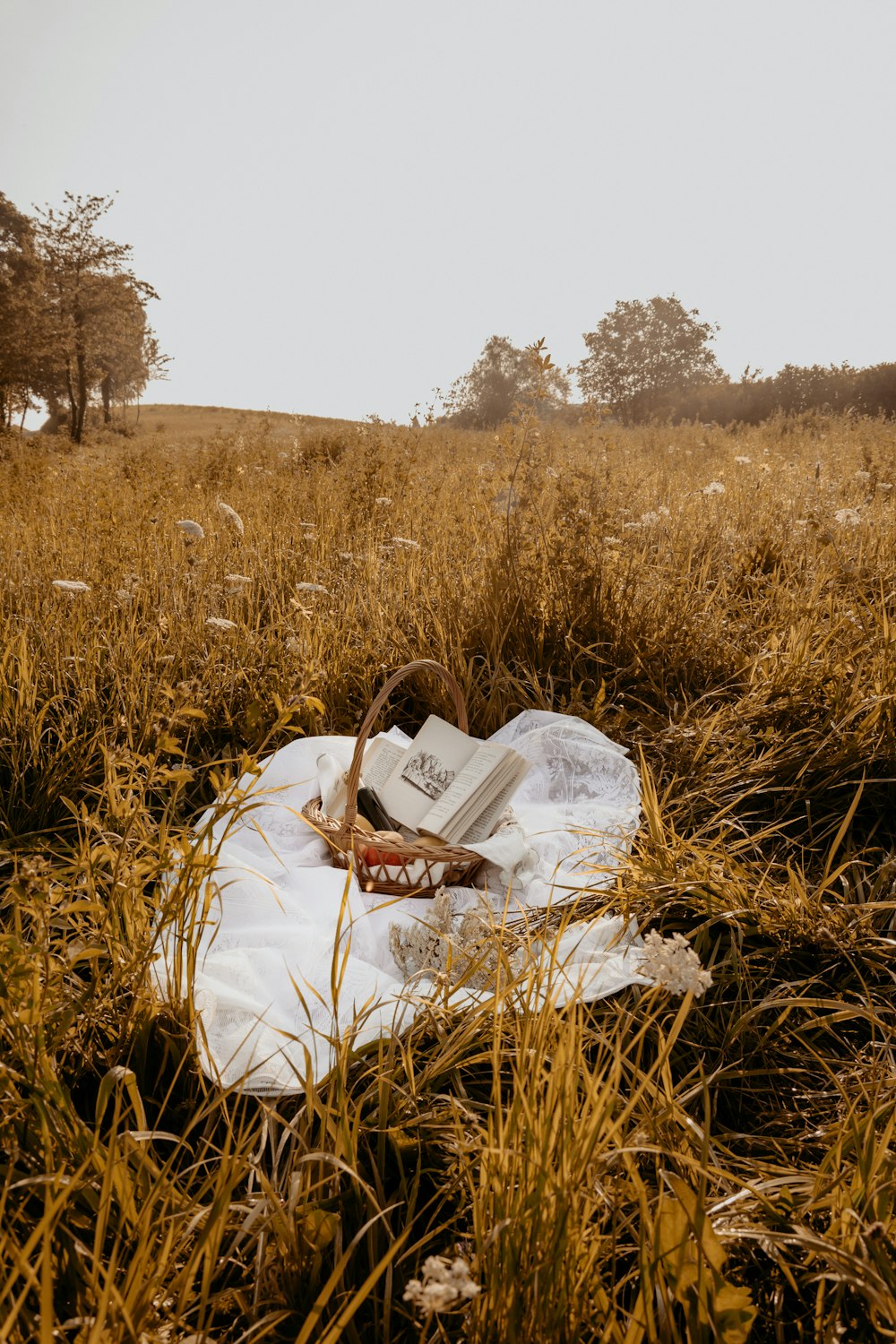 white plastic bag on brown grass