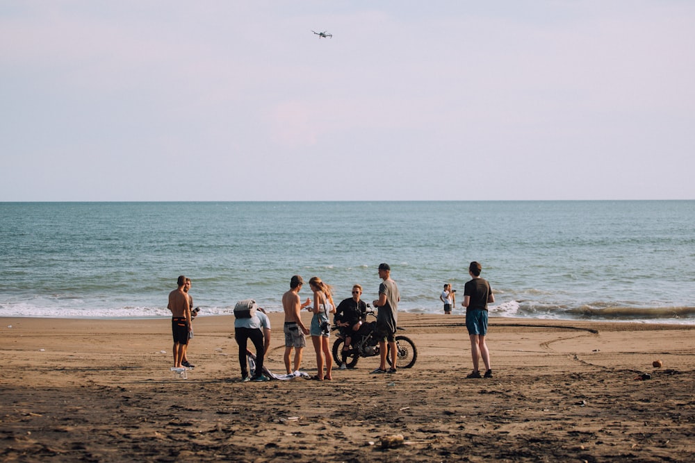 people on beach during daytime