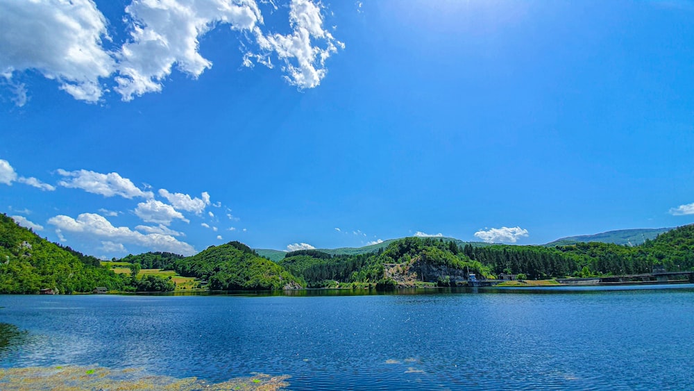 green trees near body of water under blue sky during daytime