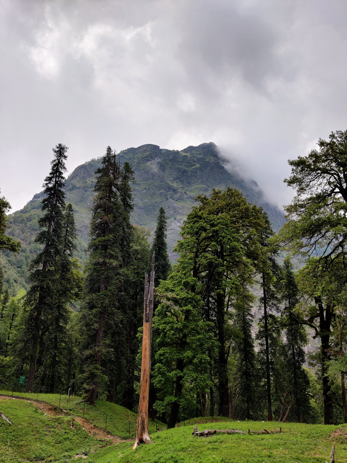 Chopta — photo 5