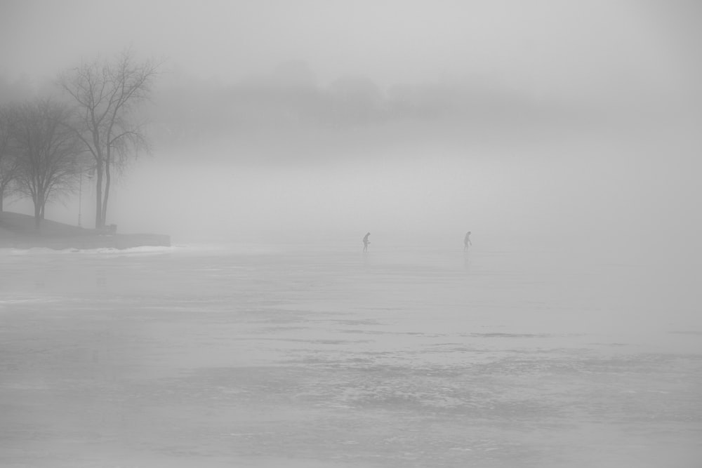 bare tree on snow covered ground during daytime