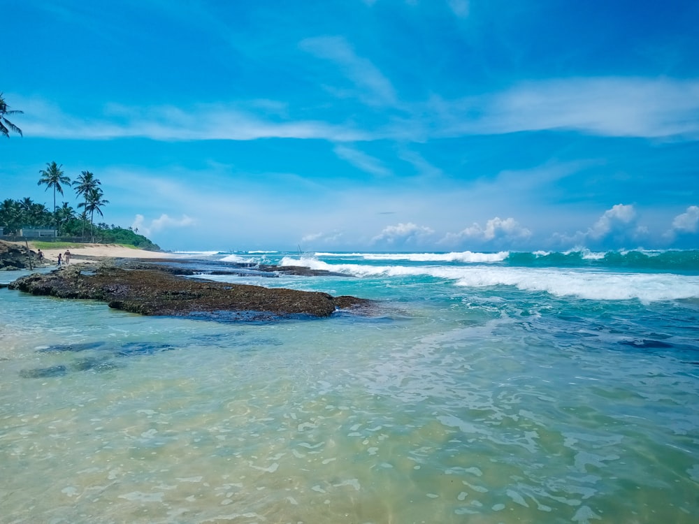 green trees on brown rock formation near sea under blue sky during daytime