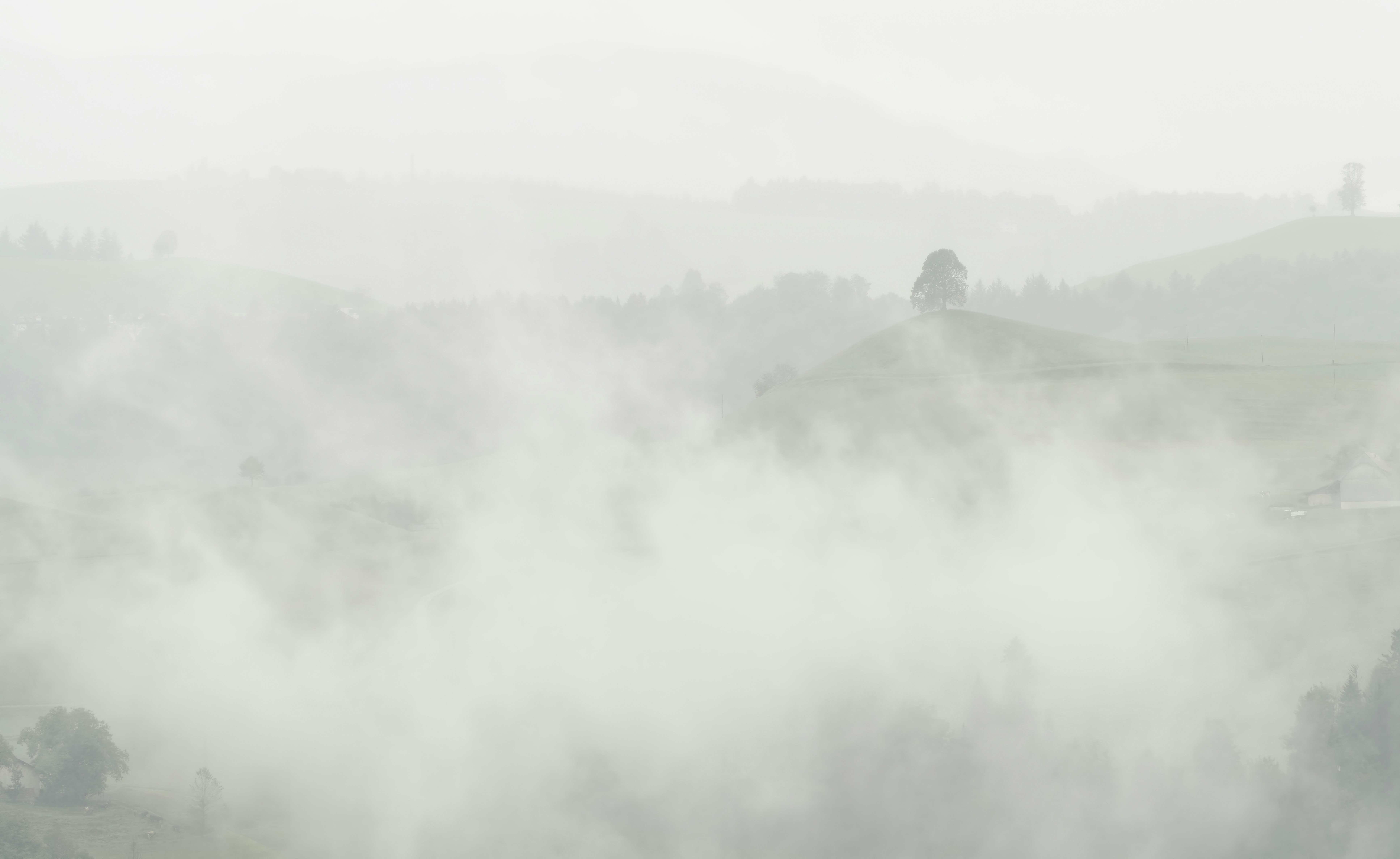 Photo by rgaleriacom