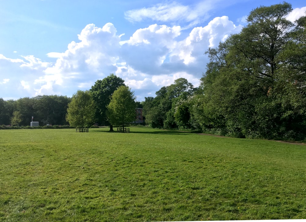 Grünes Grasfeld mit Bäumen unter blauem Himmel und weißen Wolken tagsüber