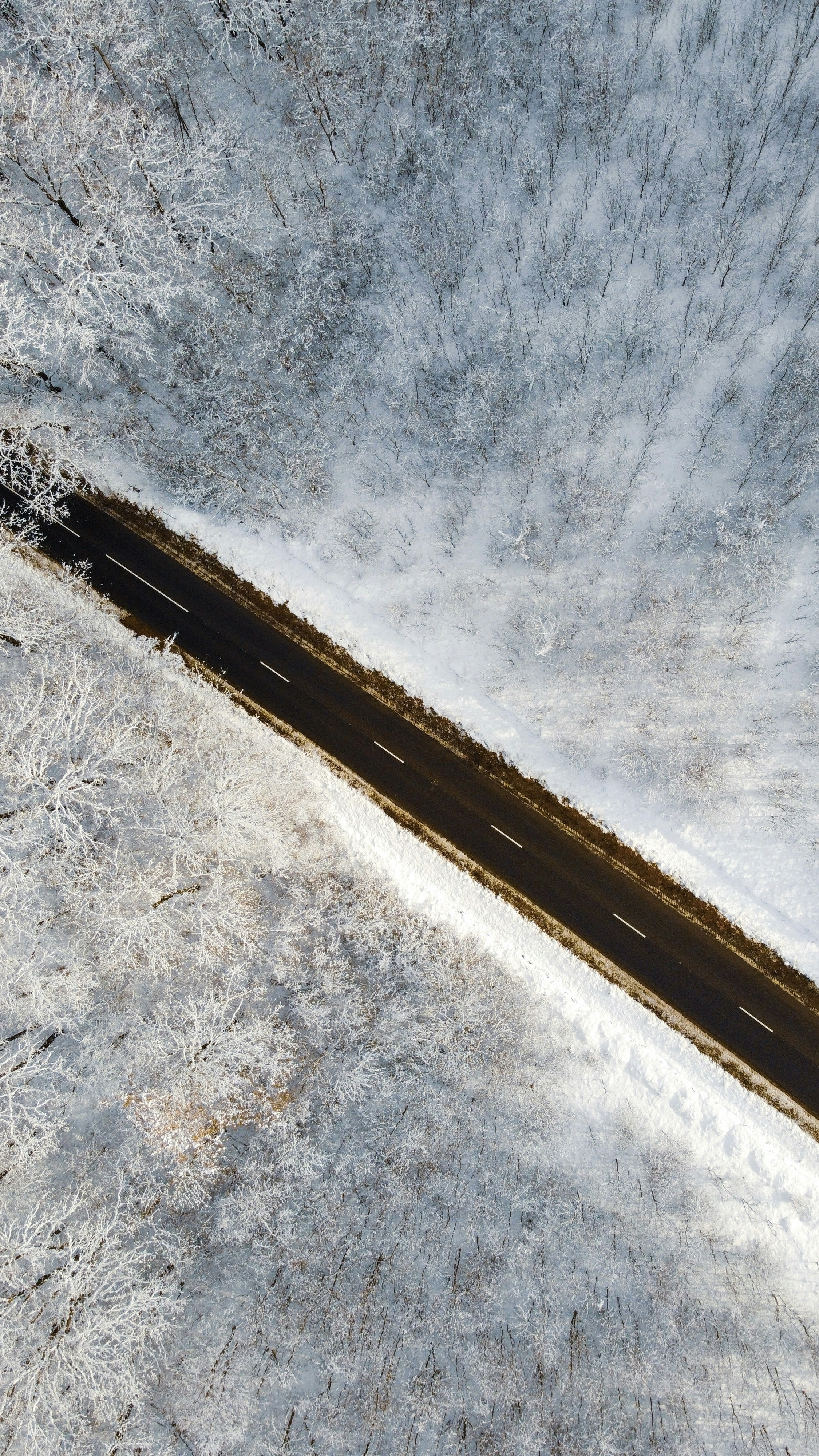 Photo by maximpronko