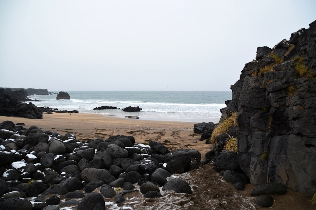 brown rocky shore near body of water during daytime