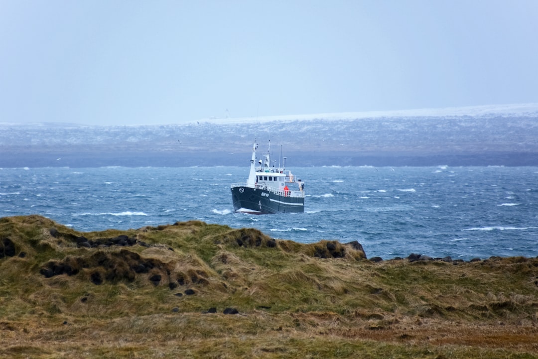 white and black ship on sea during daytime