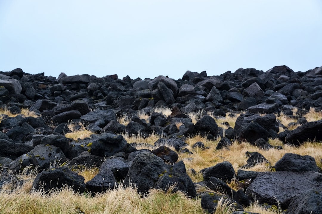 gray rocks on green grass field during daytime