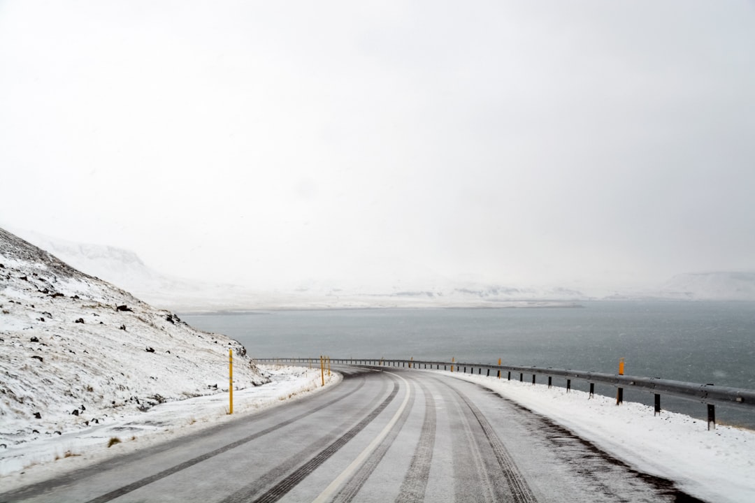 gray concrete road near body of water during daytime