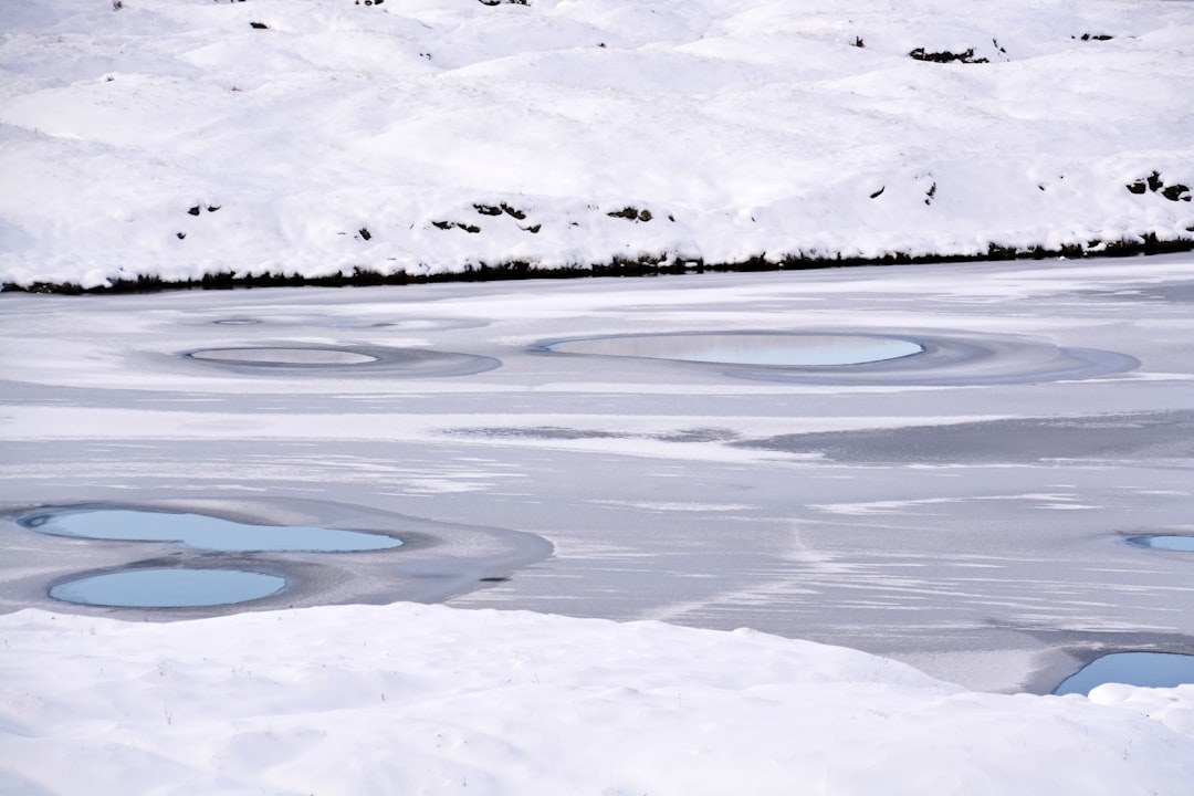 white and black snow covered ground