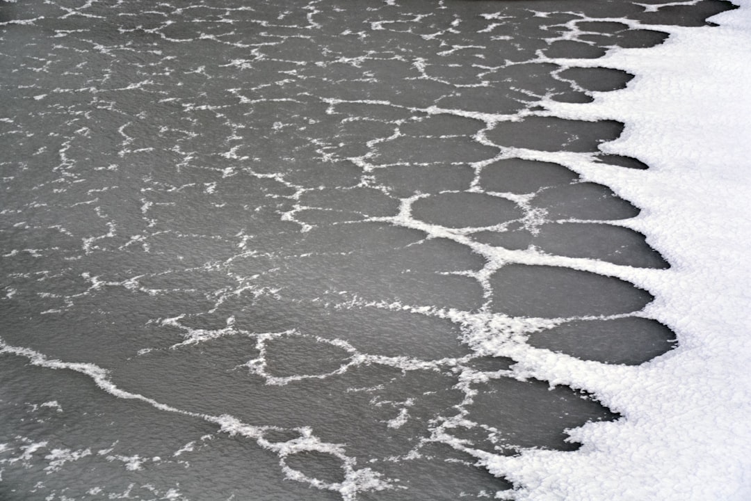 body of water during daytime