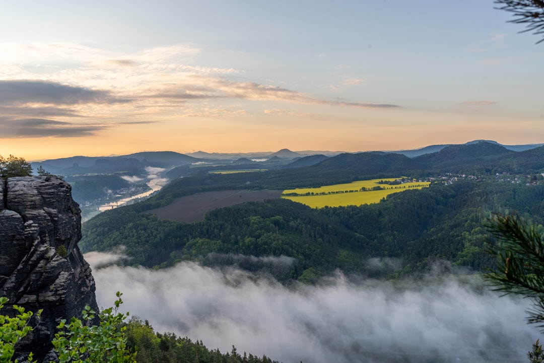 green trees and river under white clouds during daytime