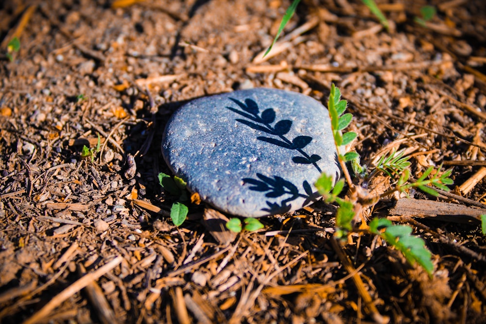 black and white round stone on brown soil