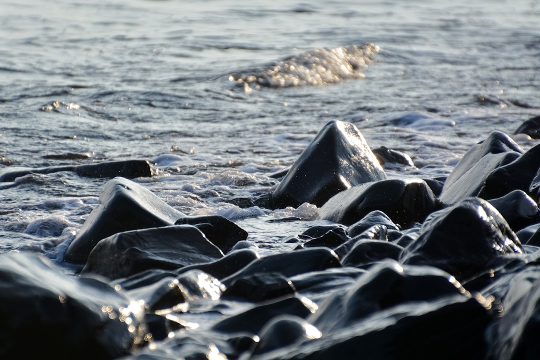 black and white stones on sea water during daytime