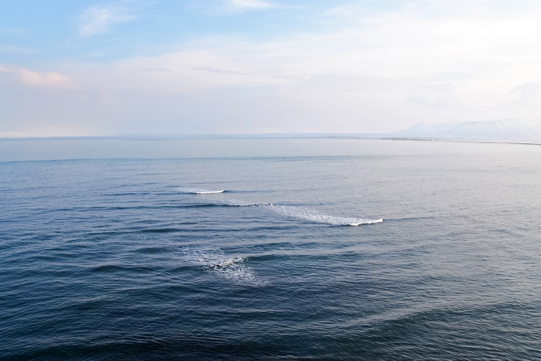 blue sea under white sky during daytime