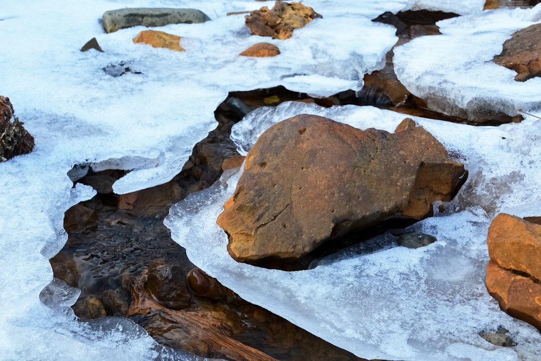 brown rocks on white snow