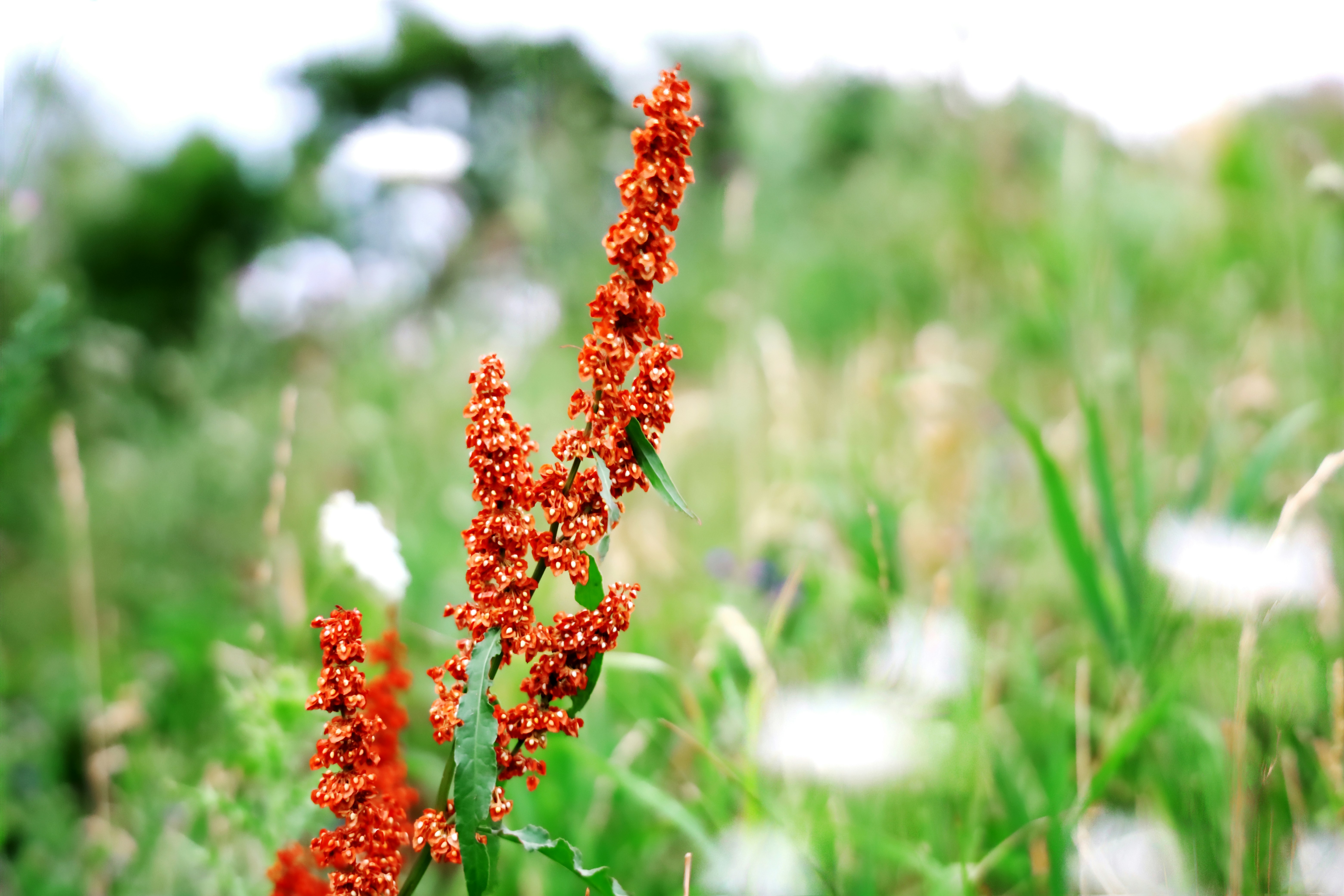 Photo by tranocanotlaugh