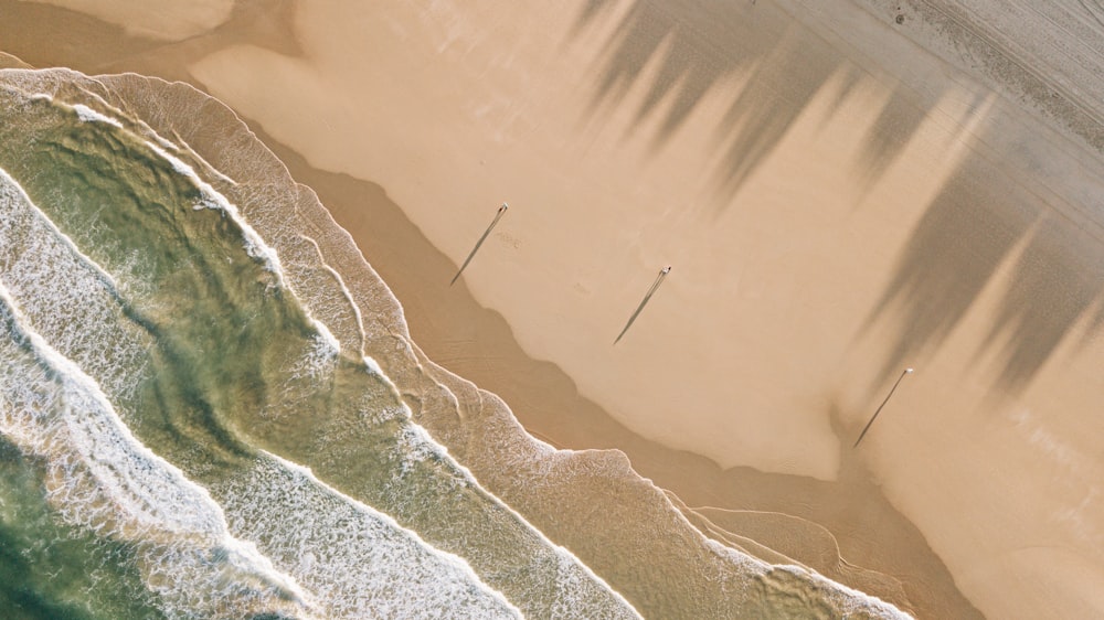 Veduta aerea del campo di erba verde vicino allo specchio d'acqua durante il giorno