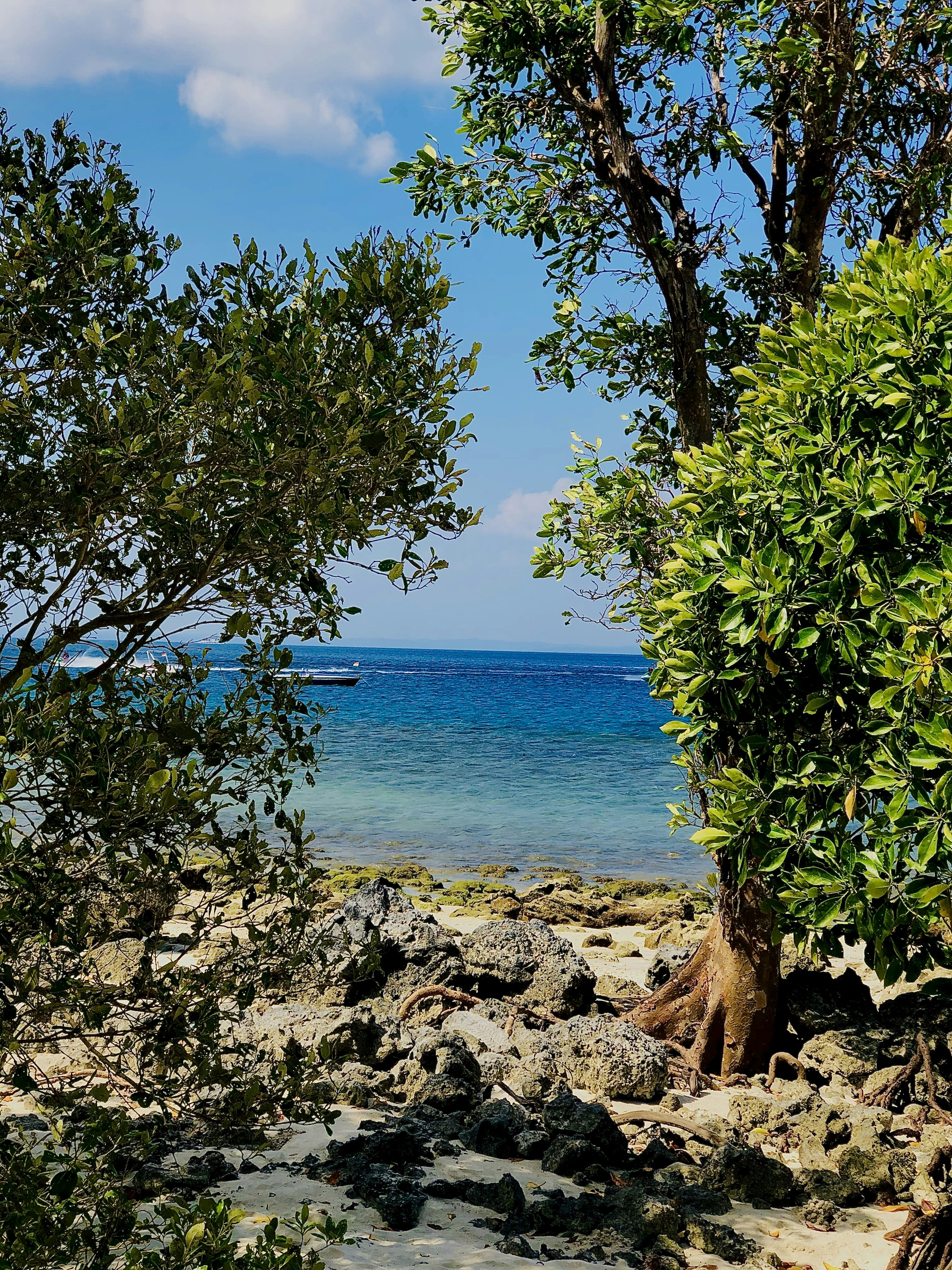 Photo by ahilapillai