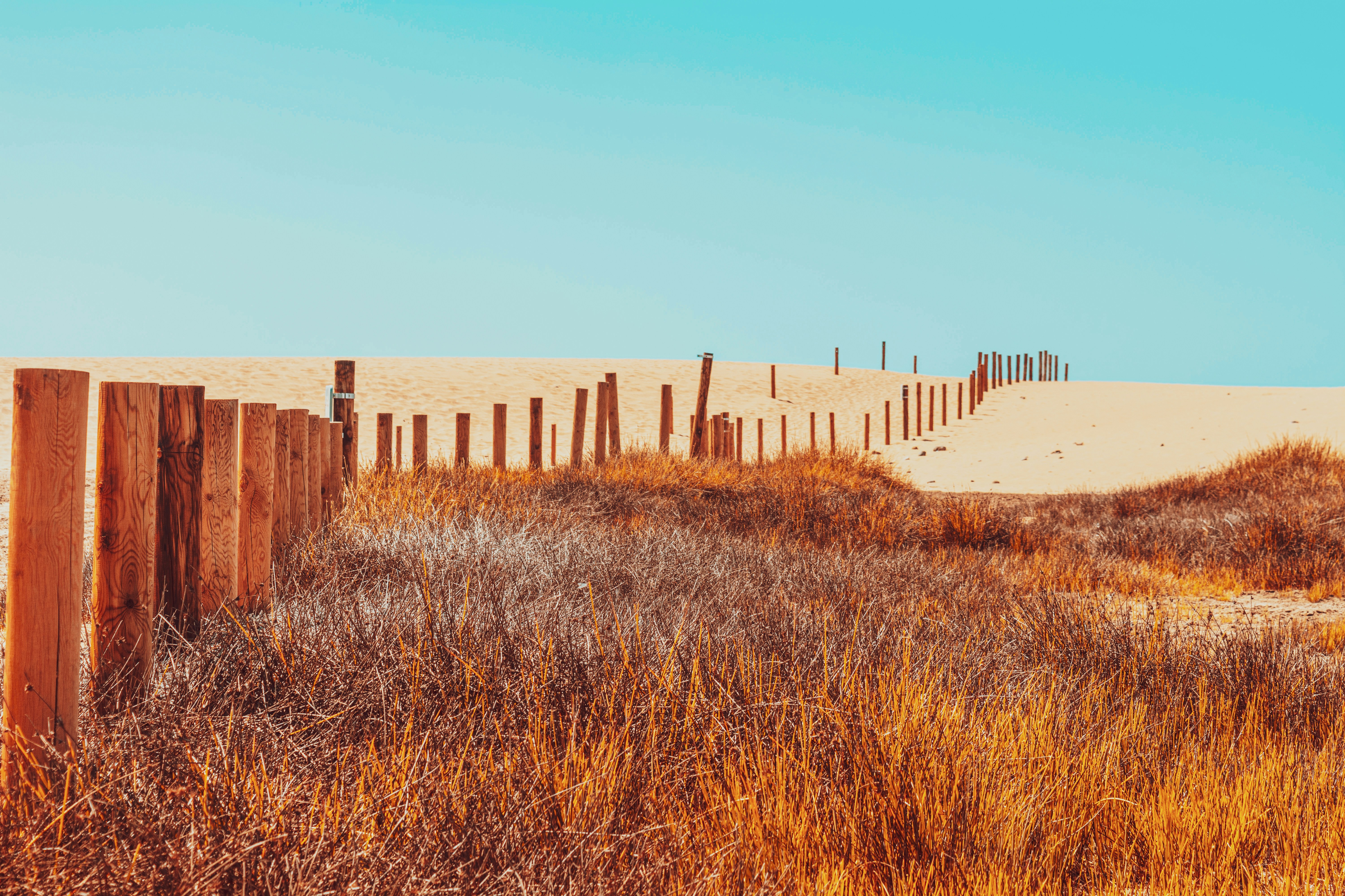 Photo by joseantoniojimenez