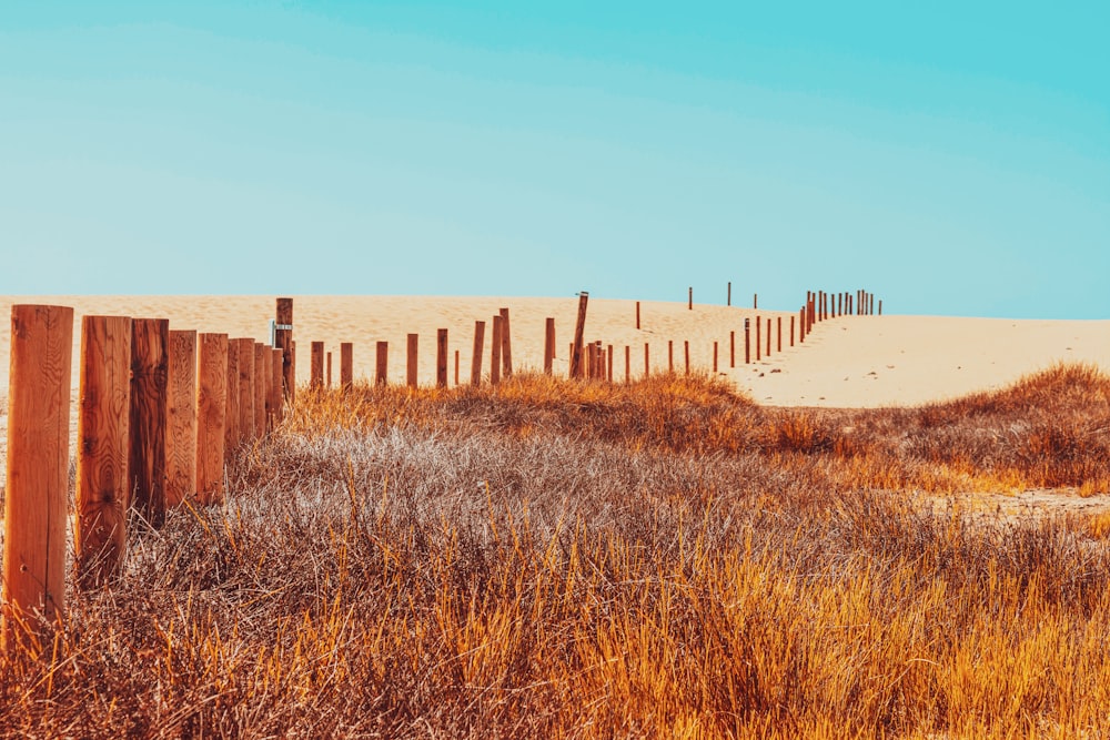 a wooden fence in a field of tall grass