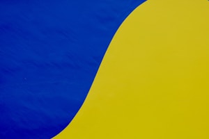 Custom Canvas Prints