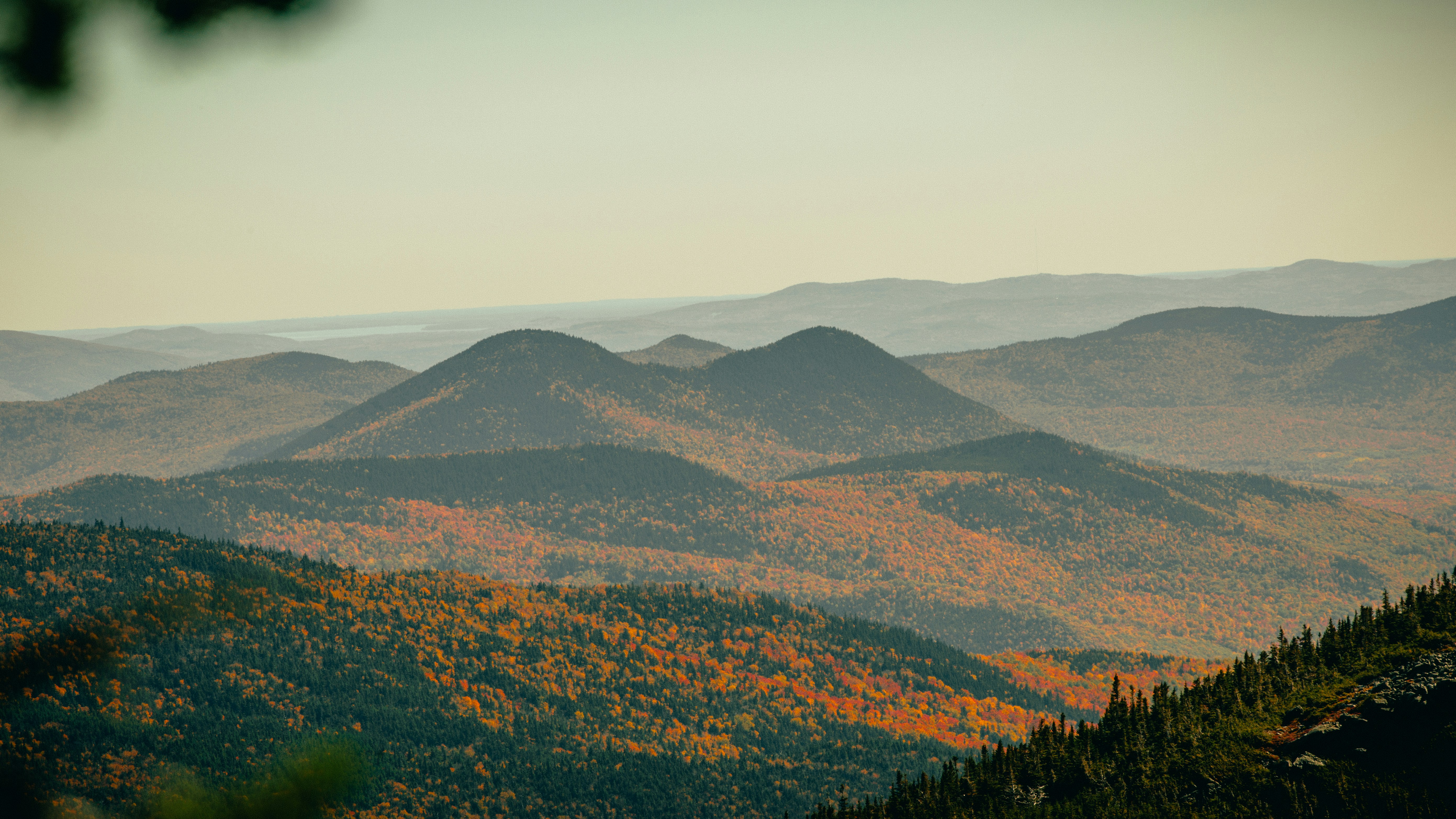 Photo by billyfreeman