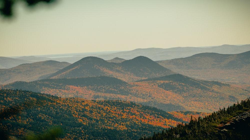 green and brown mountains under white sky during daytime