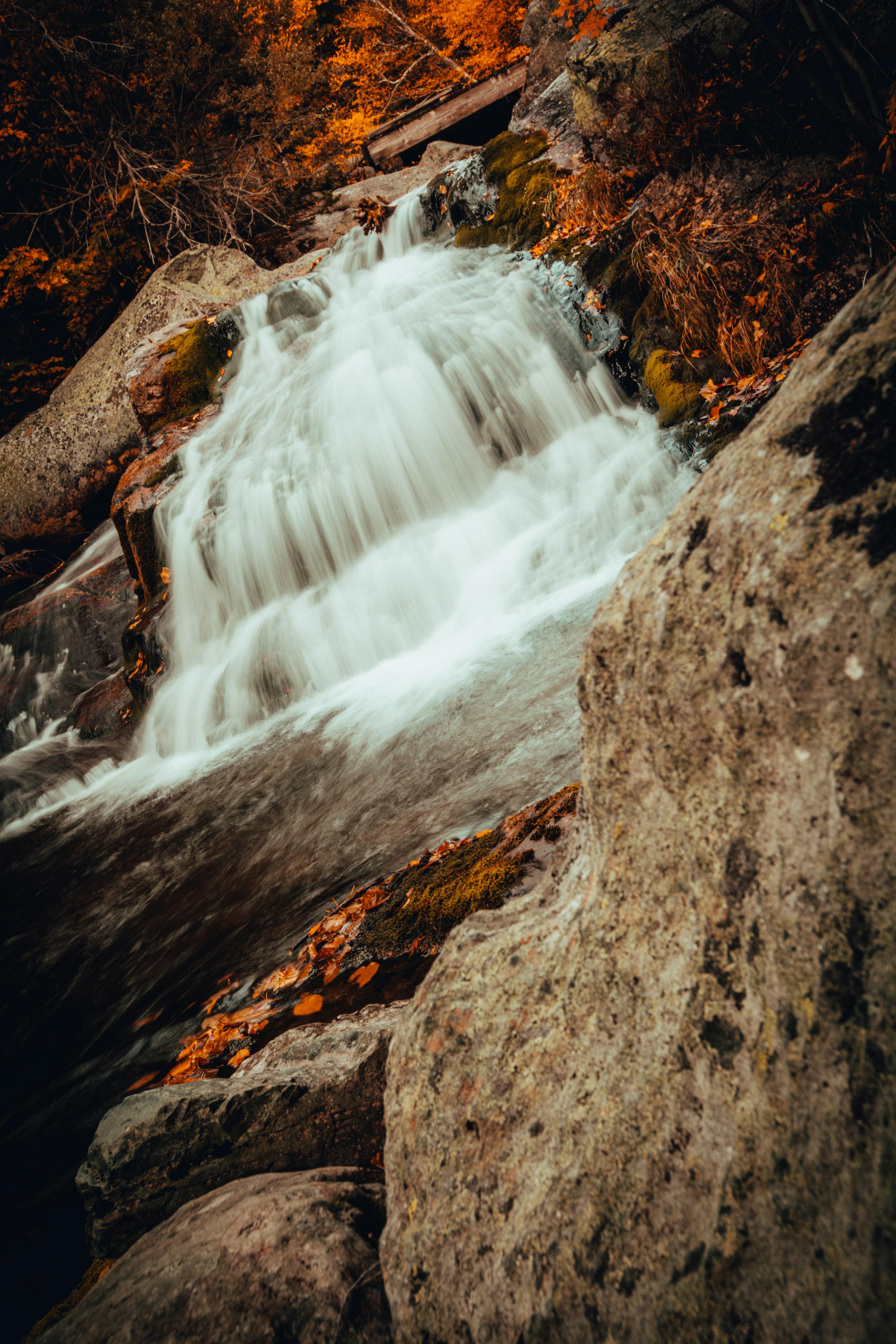 Photo by billyfreeman