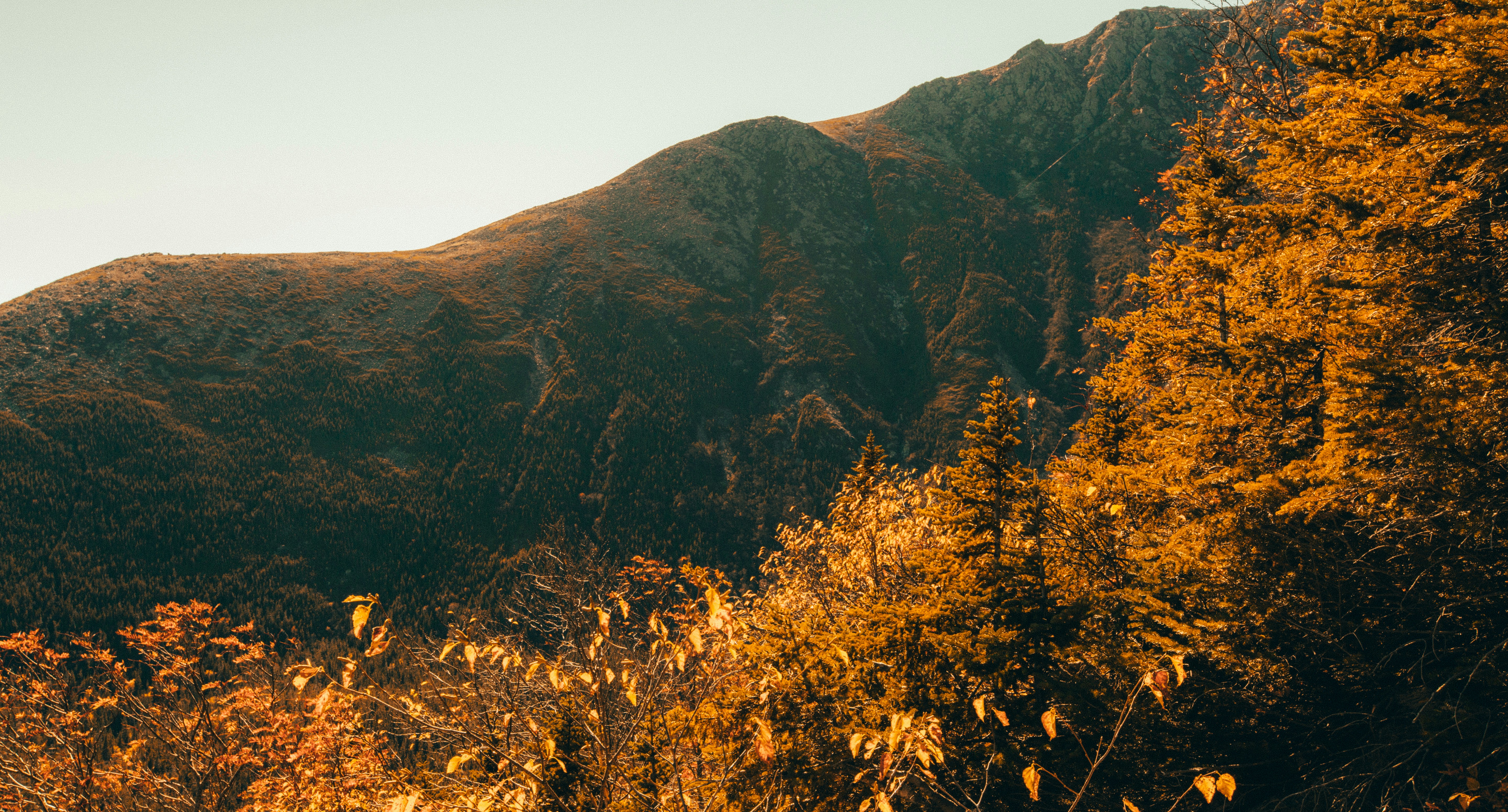 Photo by billyfreeman