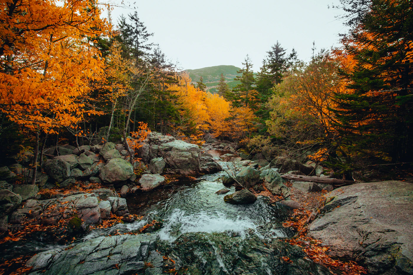 The Farmington River winding through autumn forest in morning light