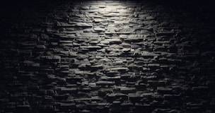 a black and white photo of a brick wall