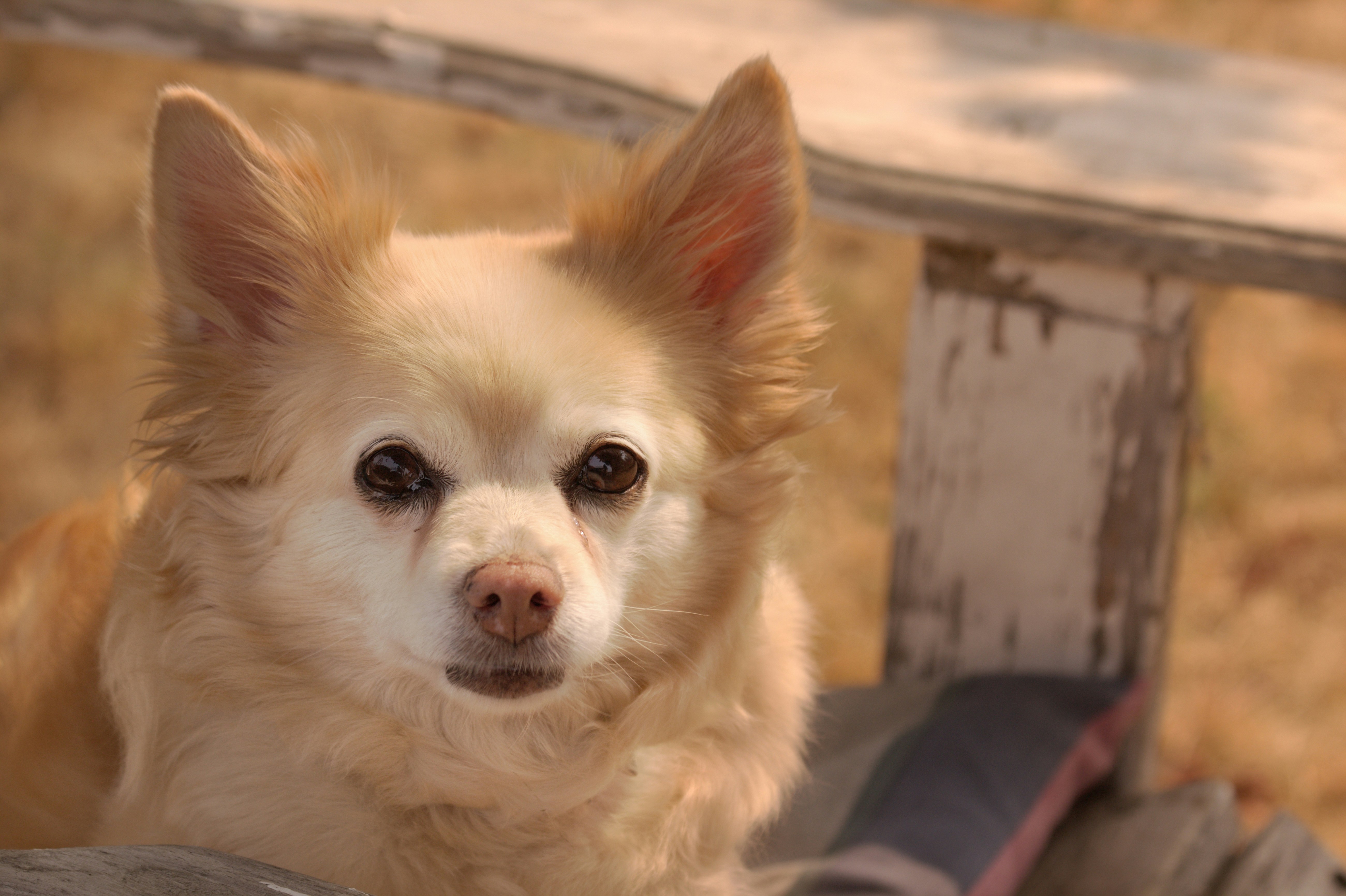 Photo by frozenmoments