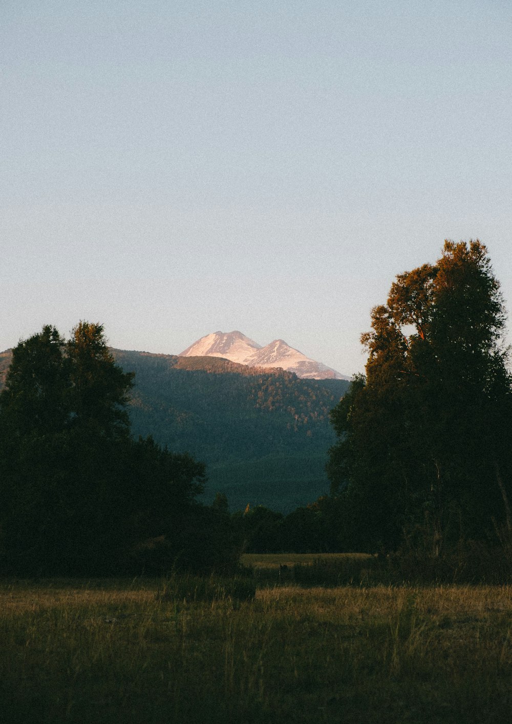 green trees near mountain during daytime