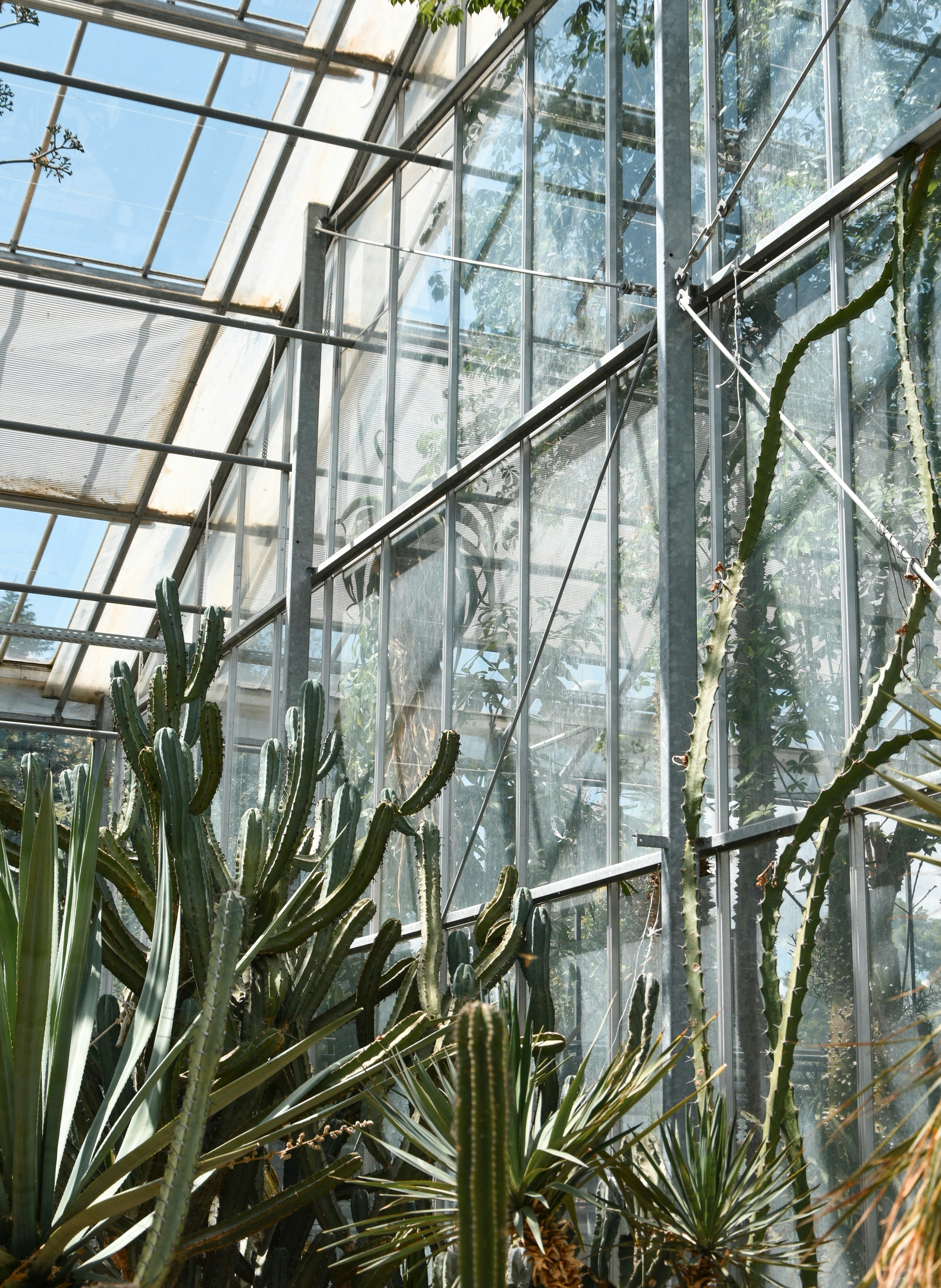 Photo by keszthelyit